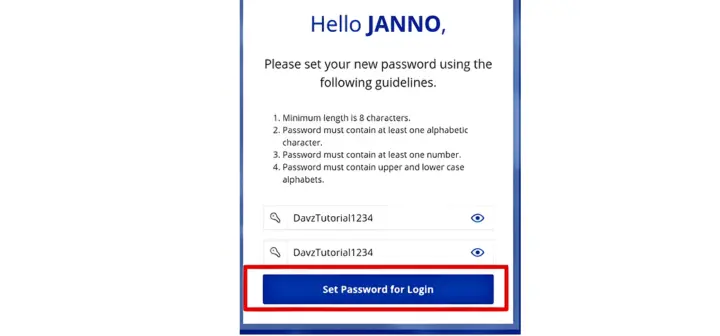 LTO portal password setup page with the Set Password for Login button highlighted in a red box